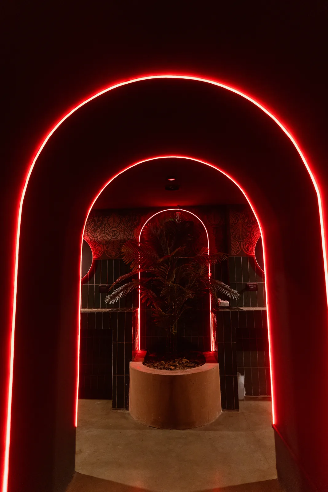 El arco de neón de Arco